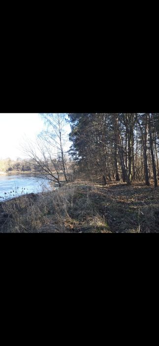Działka rolna z lasem nad rzeką Bzurą, Sochaczew,  mazowieckie
