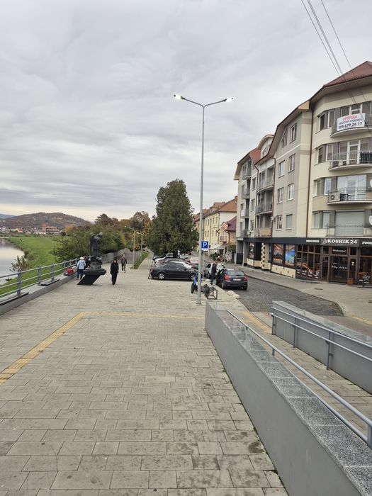 Здається трьохкімнатна центр набережна парк.