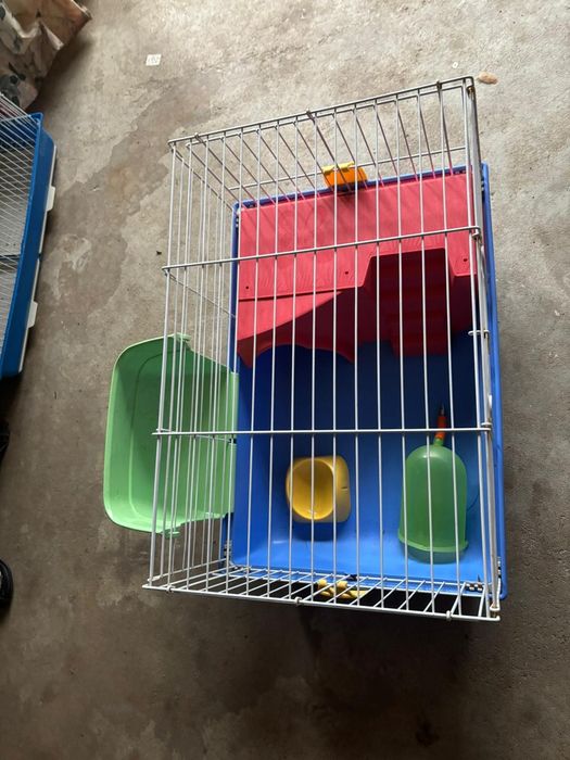 Gaiola Porquinho da India