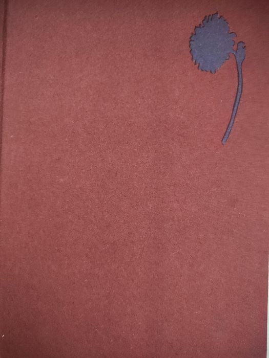 Polska literatura współczesna - Ryszard Matuszewski