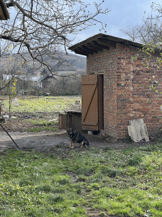 Будинок із землею 15 соток