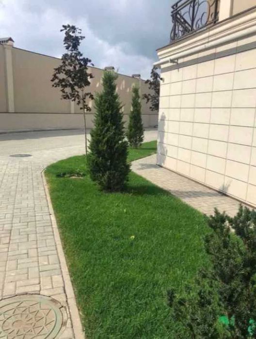 1-комнатная квартира по адресу ул. Спортивная (площадь 41,2 м²) - Atlanta.ua - фото 8