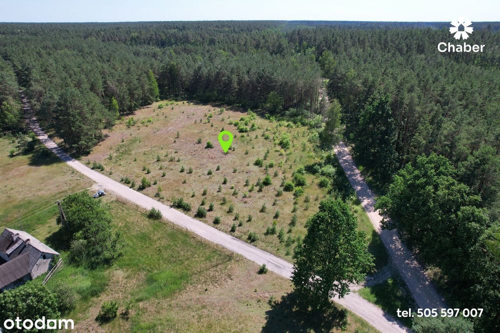 3 działki przy lesie. 29zł/m2. Pow. 2162 m2, 2752 m2, 2188 m2