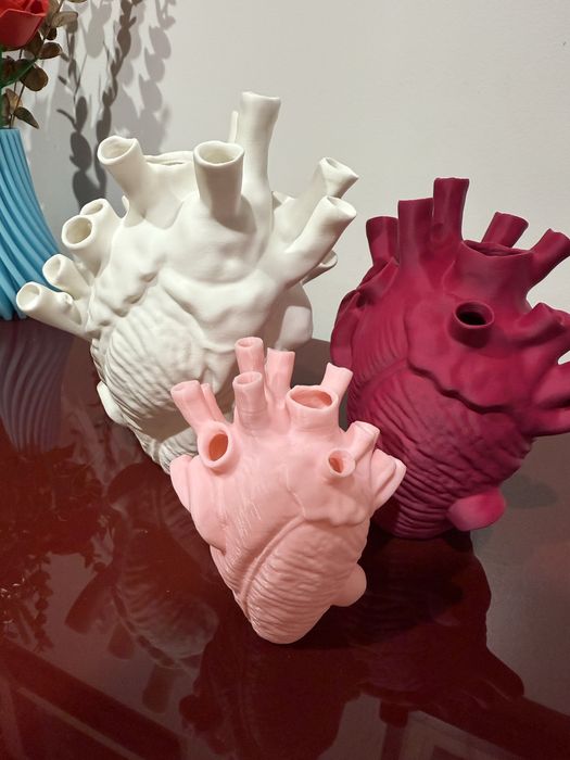 Vasos/ jarras coração humano anatómico