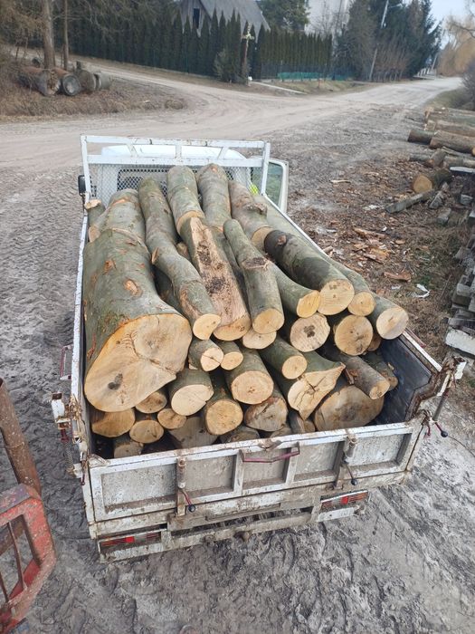 Drewno oapałowe buk.grab