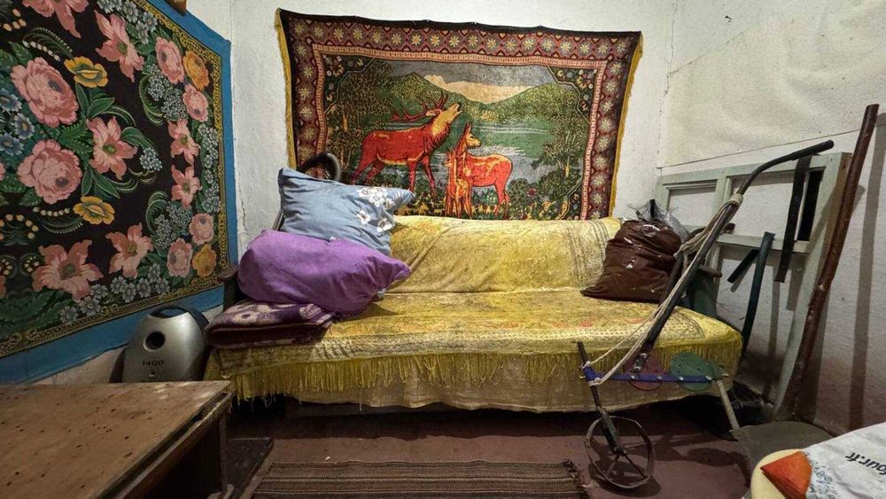 Продам будинок з великою ділянкою в Слободі Дашковецька