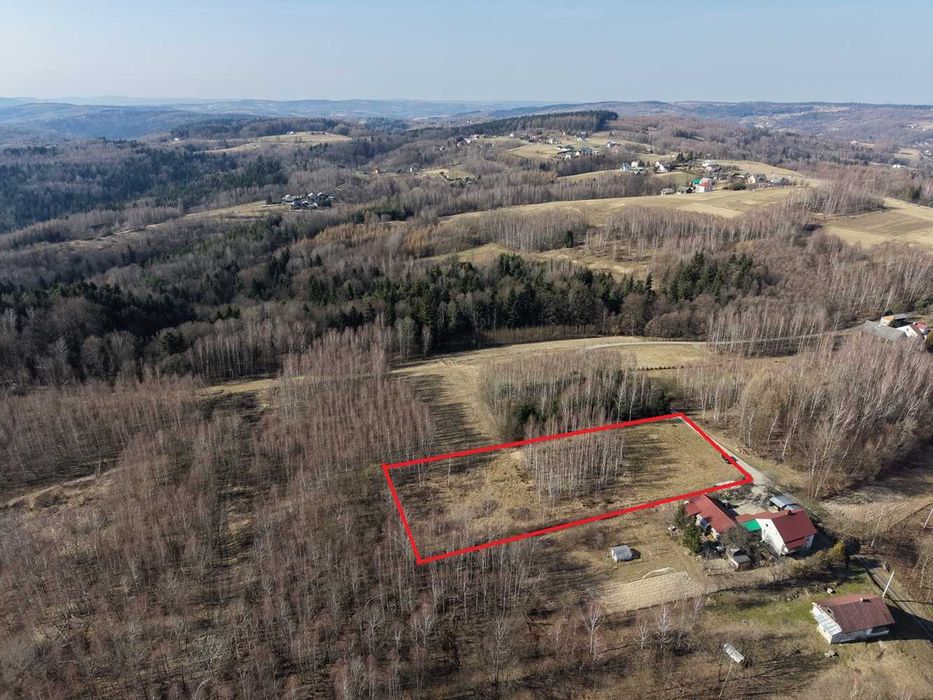 Działka w otoczeniu lasu 37 ar Domaradz