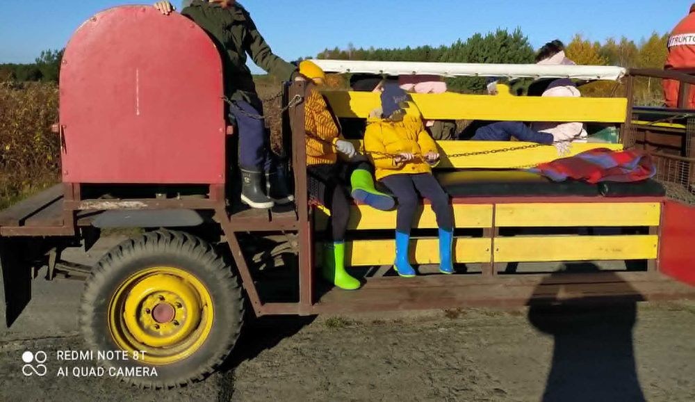 pojazd konny na 20 osób