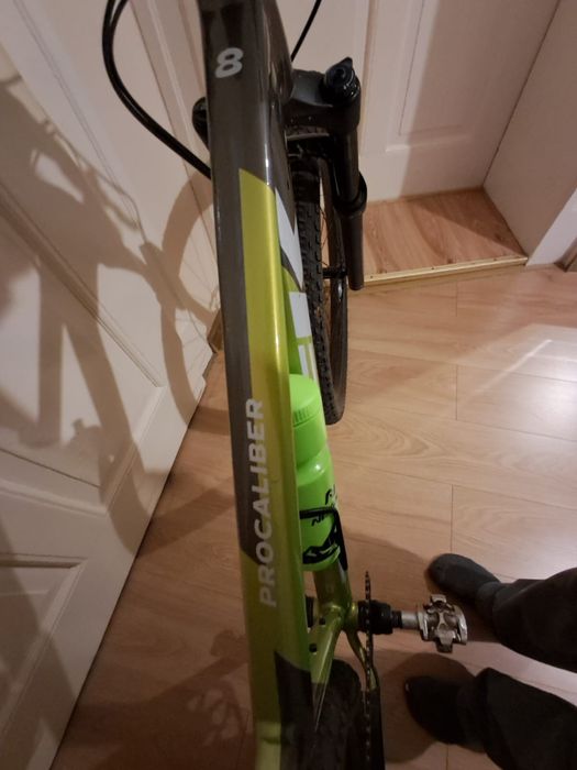 Rower TREK 2024 procaliber 8 r. M