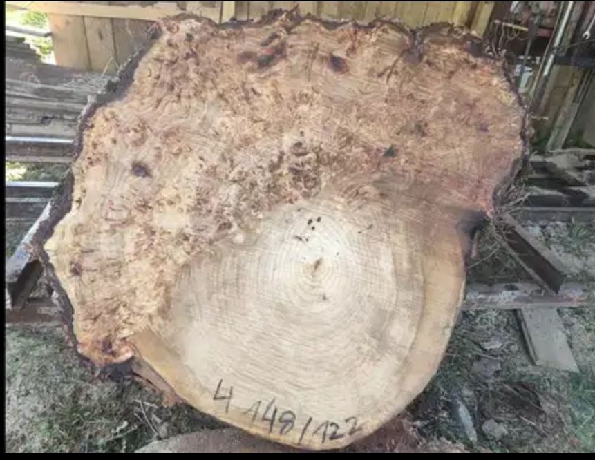 Ogromne plastry na stół lustro monolity orzech jesion czeczota klon