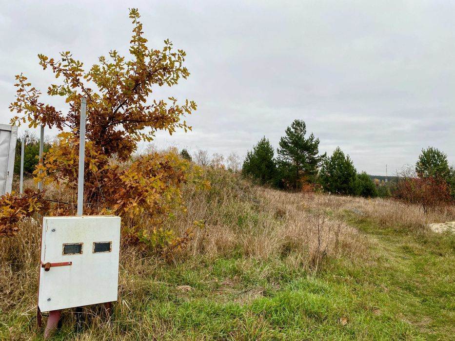 Продаж унікальної ділянки 9 сот з Соснами та видом на Заповідний ліс.