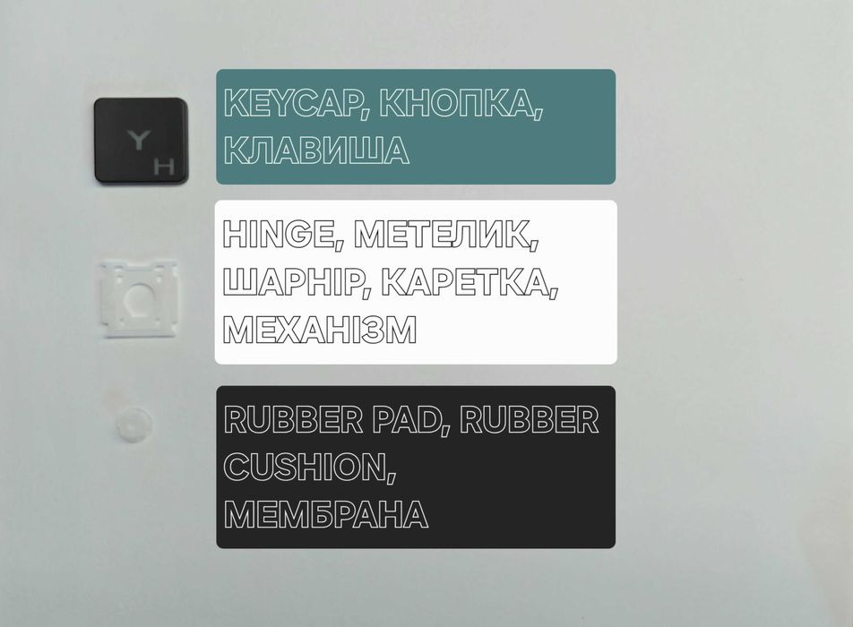 Кнопки, клавіші, механізми Asus для клавіатури ноутбука поштучно