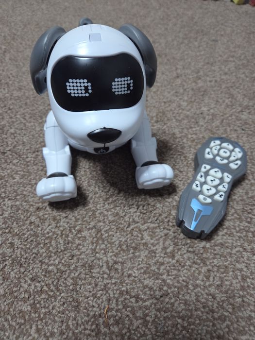 Piesek zdalnie sterowany.