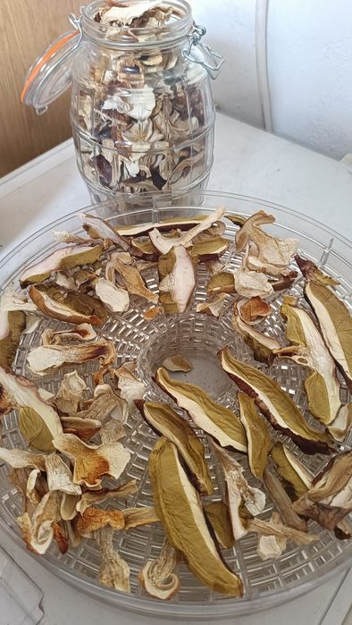 Borowik suszony 1kg