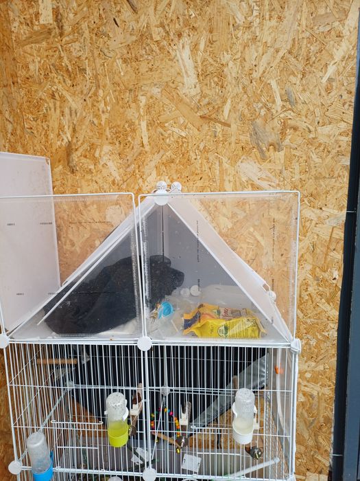 Gaiola para pássaros