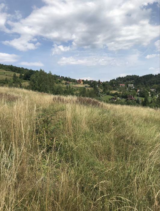 Działka Widokowa Budowlana Mutne Beskid Zywiecki