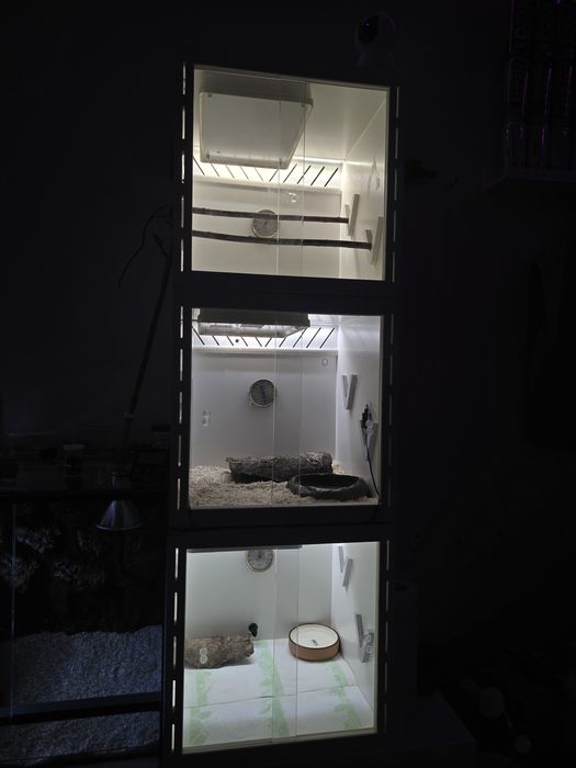 3 sztuki TERRARIA PCV.