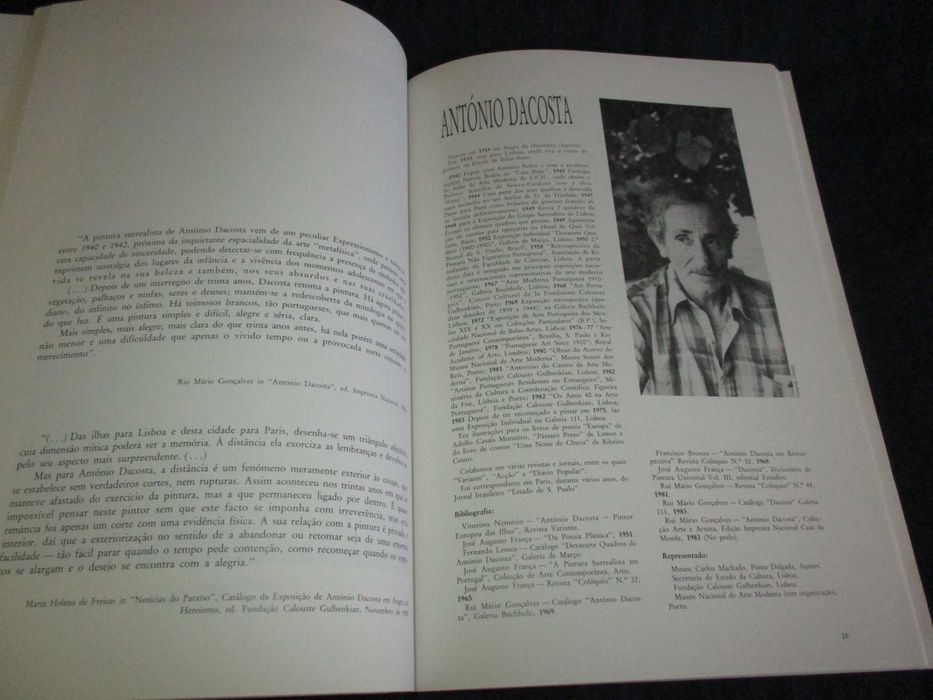 Livro Pintura Portuguesa 1988 Centro Nacional de Cultura