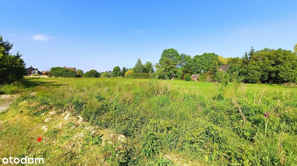 Działka przy Łabuńce | Cisza, zieleń i MPZP | 945 m² - Widok 5