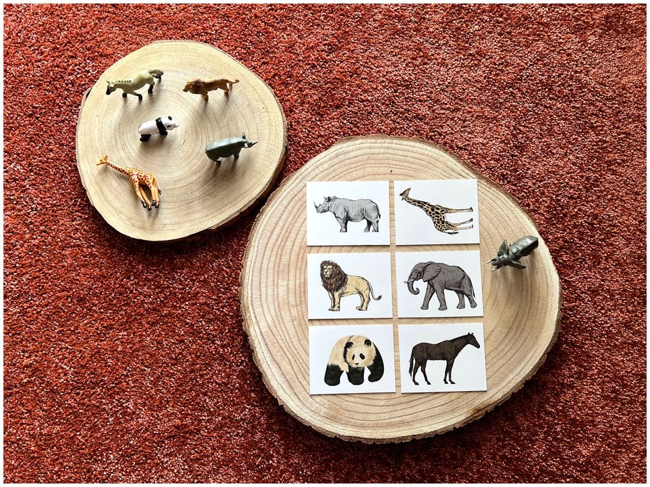 Animais da Selva- Montessori