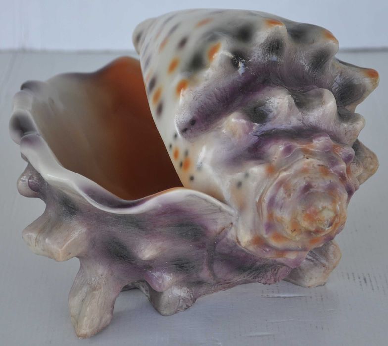 Nawilżacz Powietrza w Kształcie Muszli Generator Pary Powystawowy!