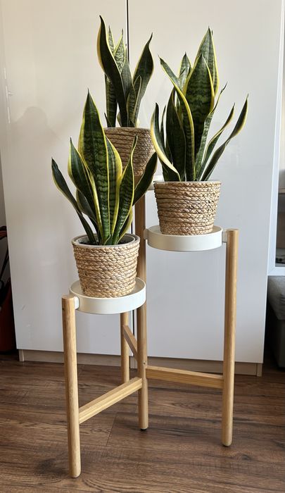 stojak kwietnik IKEA SANSUMAS