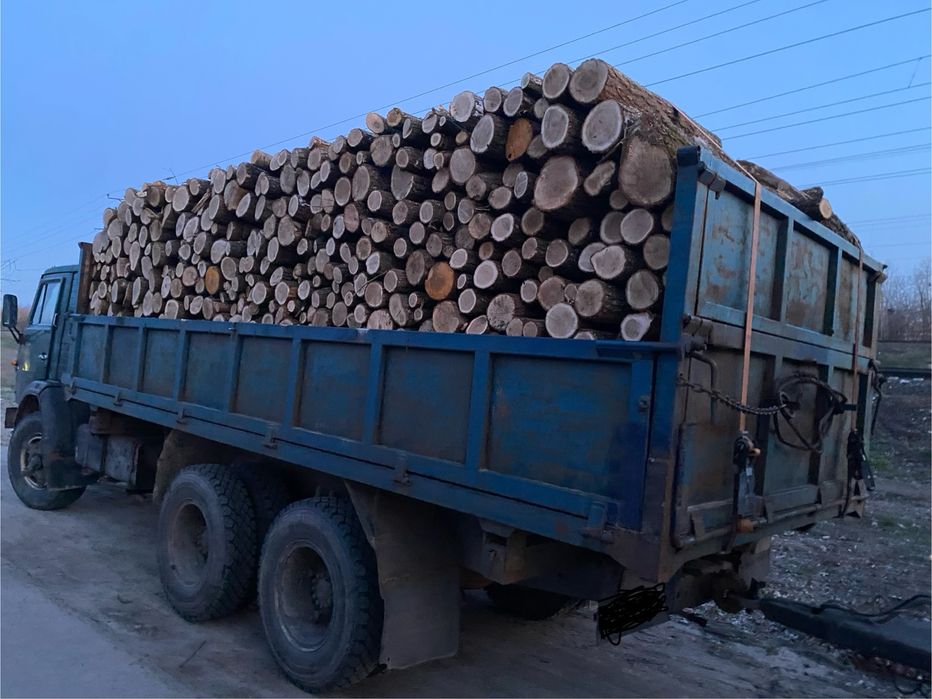 Дрова  Дуб Граб Сосна Береза Вільха.Працюємо з Підприємствами