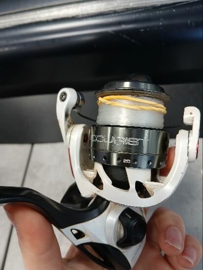 carreto quantum accurist