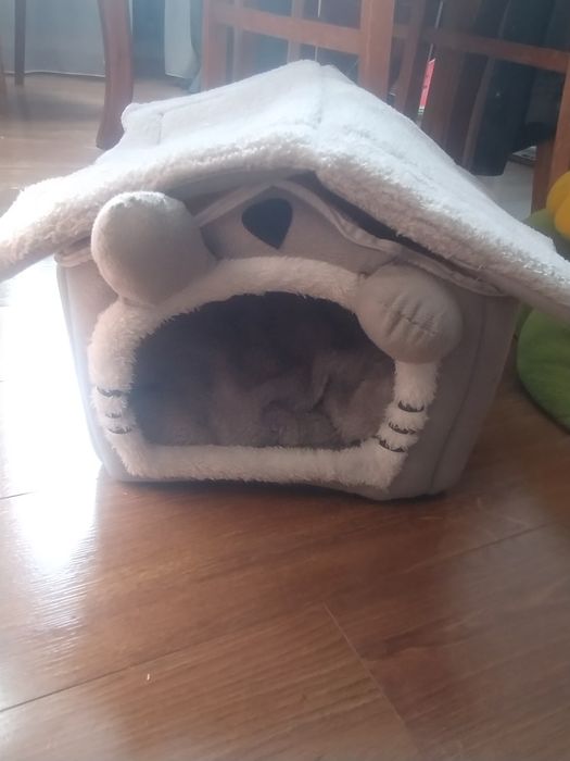 Будиночок для тварин