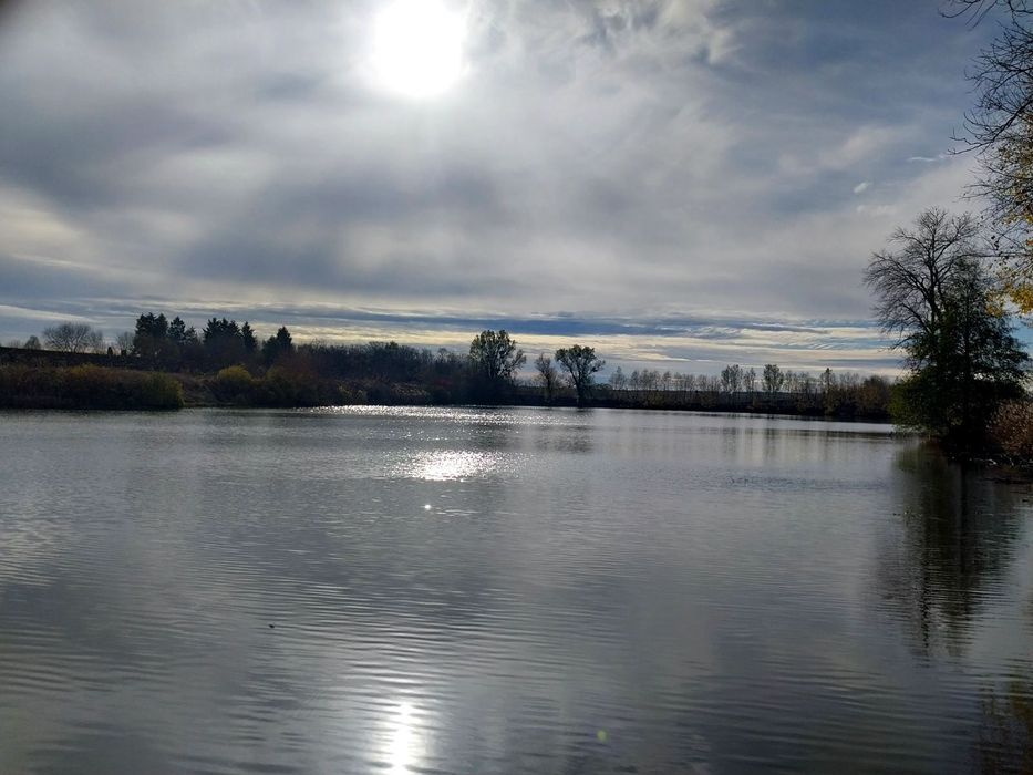 Терміновий продаж землі біля озера 33 с в Петрівці ( за Турбовом)