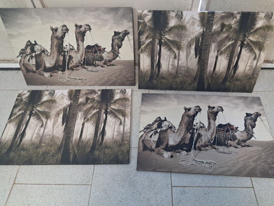 Conjunto de 4 quadros decorativos