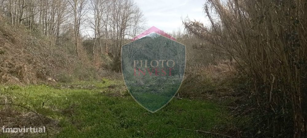 Quinta  Venda em Silgueiros,Viseu
