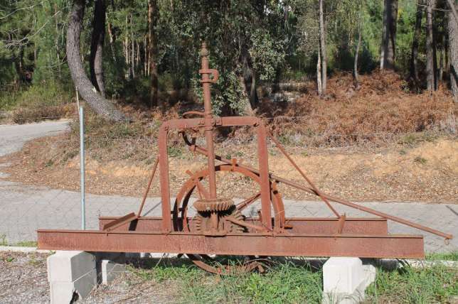 Vendo Nora para decoração