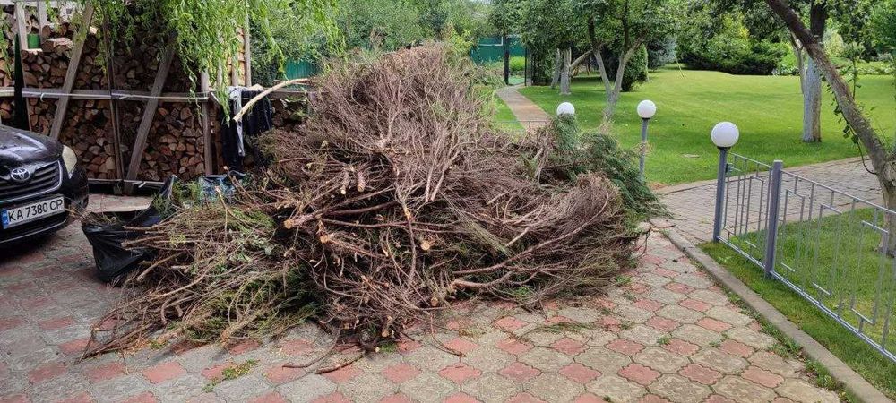 Вивіз сміття. Вывоз мусора, шин. Вивіз хлама, меблів. Працюємо 24/7
