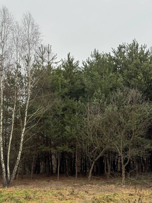 Продаж земельної ділянки поблизу Львова, Паланки