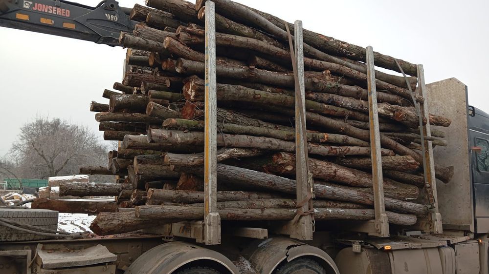 Drewno opałowe suche lisciaste w kłodzie