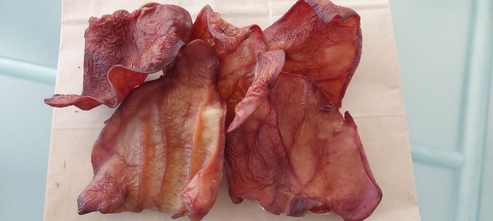 Ucho wieprzowe 5szt - gryzak dla psów