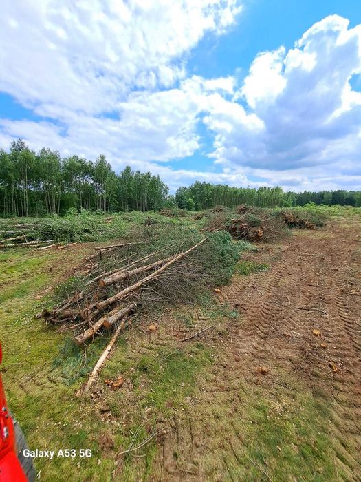 Zatrudnimy podwykonawców do sprzątania pozostałości drzewnych