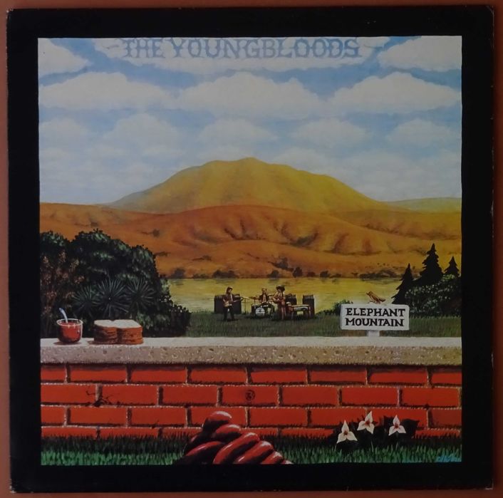 Discos de vinil usados - Velvet Underground, Dylan, Yardbirds, etc.