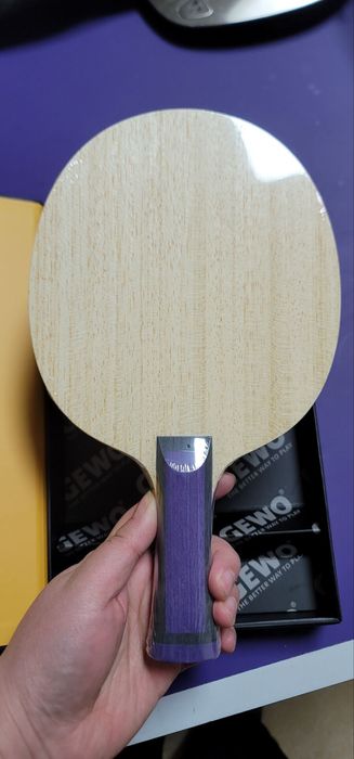 GEWO Luo Zheng Special Edition