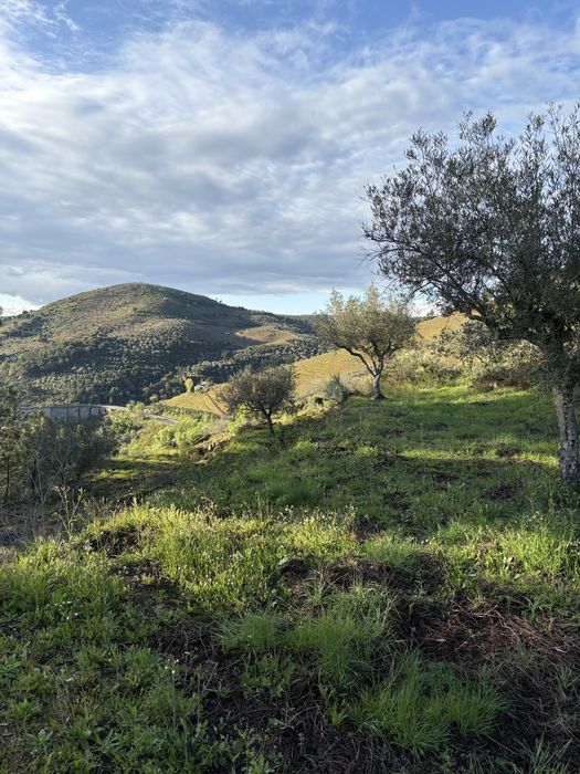 Terreno Murça 5100m