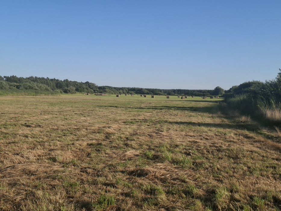 Sprzedam łąkę 2.72ha