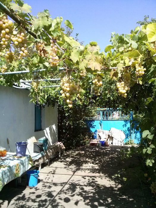 ДАЧА, Дніпро, Дніпровський район (Дніпро-2) Не далеко від "Старі Кодаки" (скрин карти додаю) (дача Днепр)
