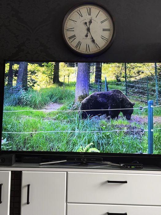 Telewizor led 60 cali