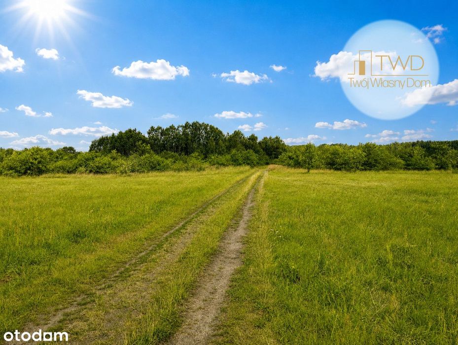 Dąbrowa Górnicza, Błędów - 546 m²