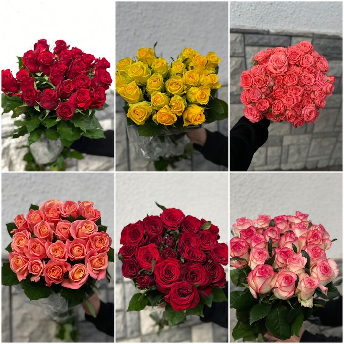 Роза Троянда Квіти від виробника з доставкою по Україні
