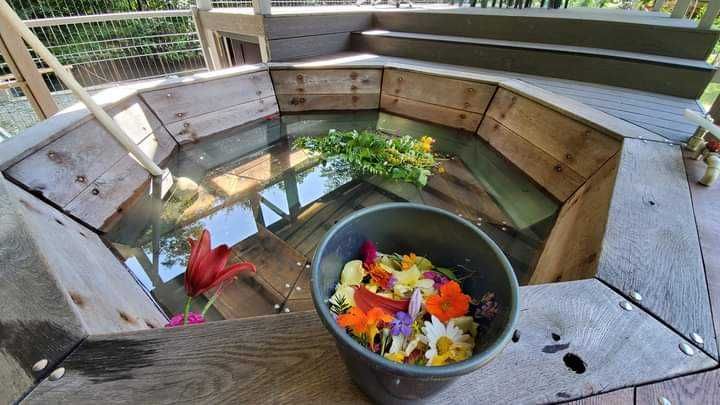 Котедж в заповідній зоні Карпати