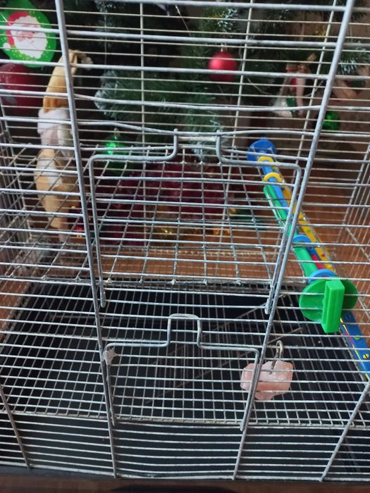Клітка для гризунів
