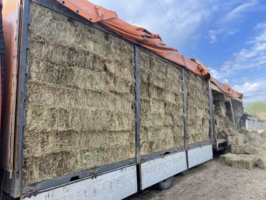 Сіно лугове різнотравʼя в тюках | Від виробника