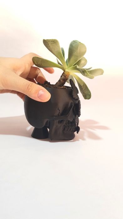Vaso de caveira com borboletas